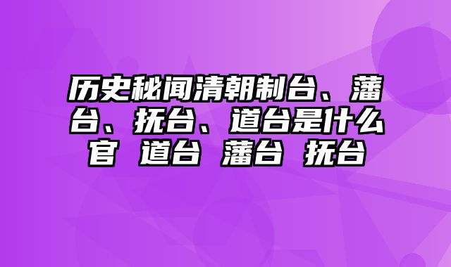 历史秘闻清朝制台、藩台、抚台、道台是什么官 道台 藩台 抚台