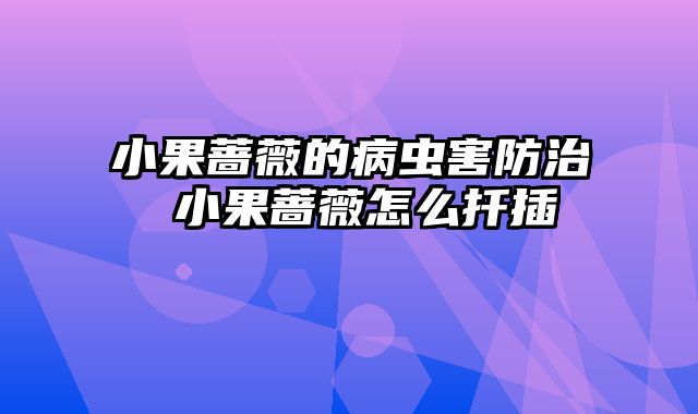 小果蔷薇的病虫害防治 小果蔷薇怎么扦插