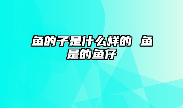 鱼的子是什么样的 鱼是的鱼仔