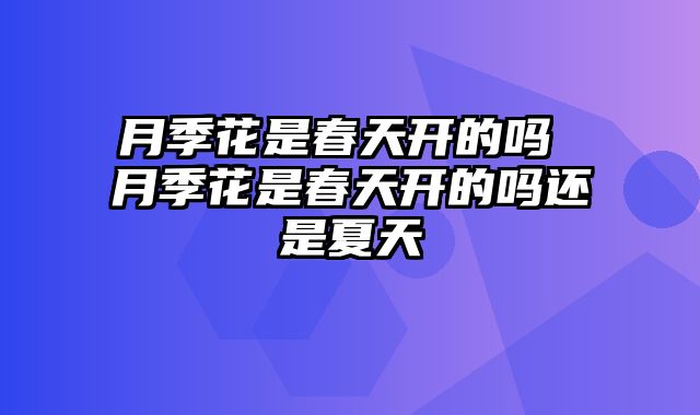 月季花是春天开的吗 月季花是春天开的吗还是夏天