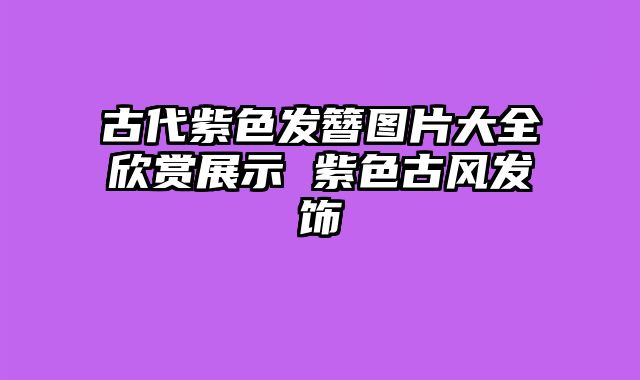 古代紫色发簪图片大全欣赏展示 紫色古风发饰