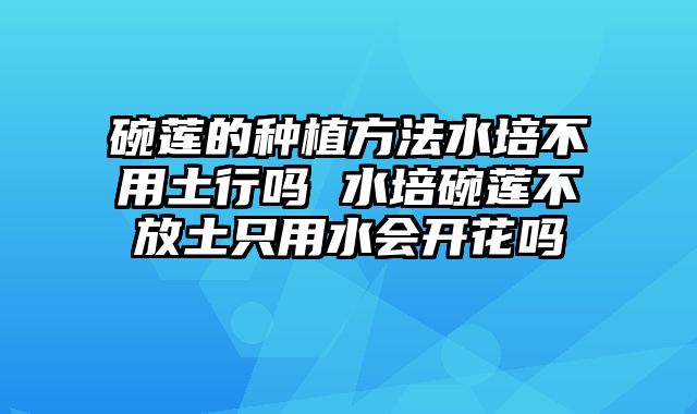 碗莲的种植方法水培不用土行吗 水培碗莲不放土只用水会开花吗