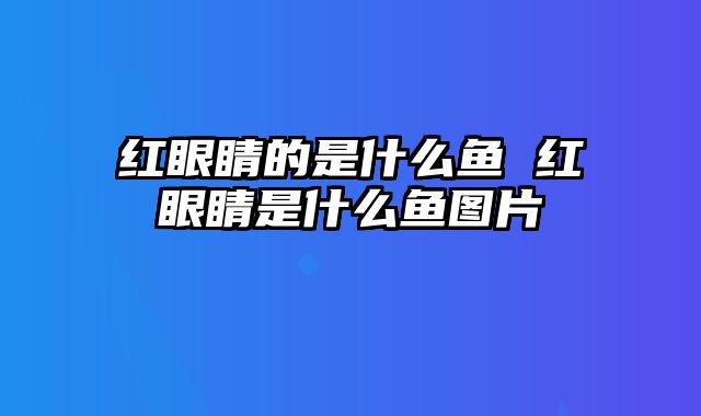 红眼睛的是什么鱼 红眼睛是什么鱼图片