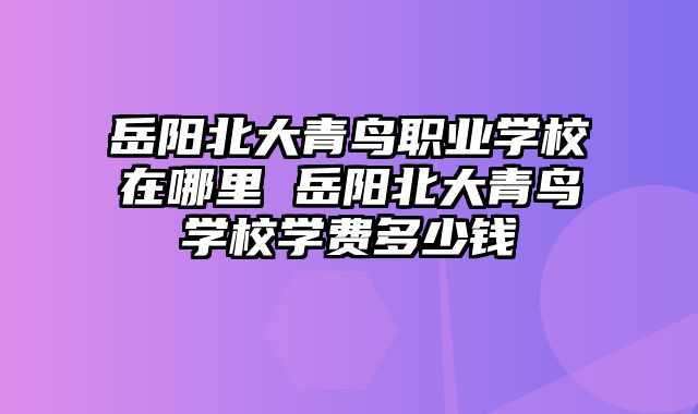 岳阳北大青鸟职业学校在哪里 岳阳北大青鸟学校学费多少钱