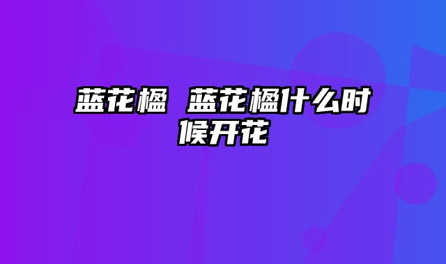蓝花楹 蓝花楹什么时候开花