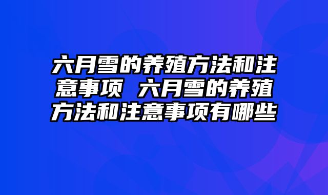 六月雪的养殖方法和注意事项 六月雪的养殖方法和注意事项有哪些