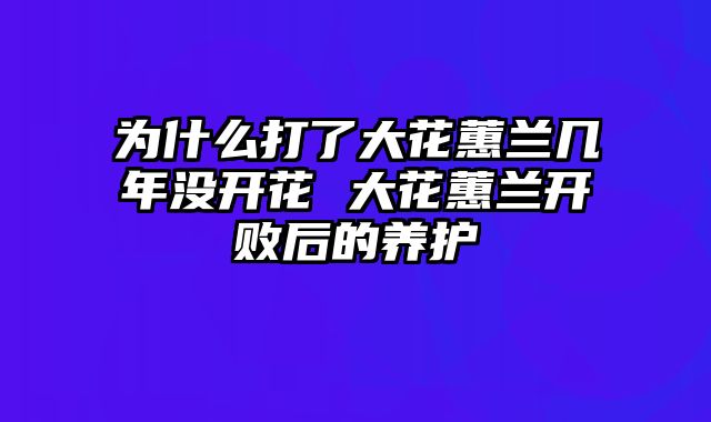 为什么打了大花蕙兰几年没开花 大花蕙兰开败后的养护