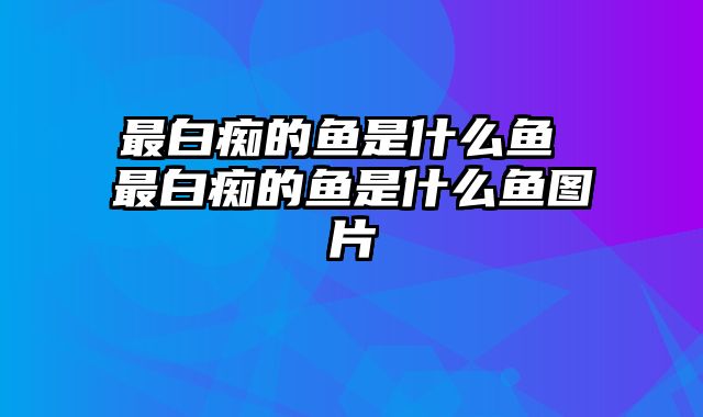 最白痴的鱼是什么鱼 最白痴的鱼是什么鱼图片