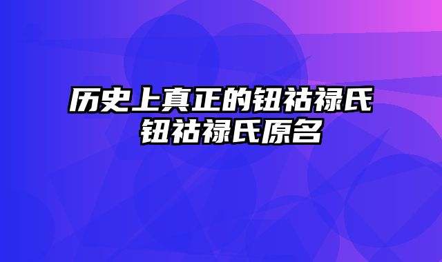 历史上真正的钮祜禄氏 钮祜禄氏原名