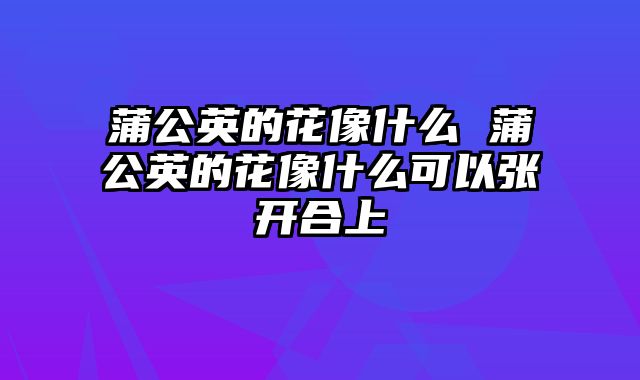 蒲公英的花像什么 蒲公英的花像什么可以张开合上
