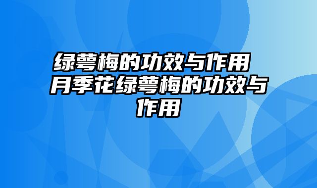 绿萼梅的功效与作用 月季花绿萼梅的功效与作用