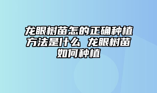 龙眼树苗怎的正确种植方法是什么 龙眼树苗如何种植