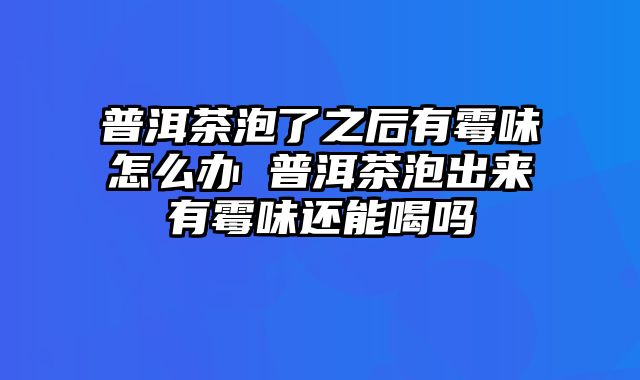 普洱茶泡了之后有霉味怎么办 普洱茶泡出来有霉味还能喝吗