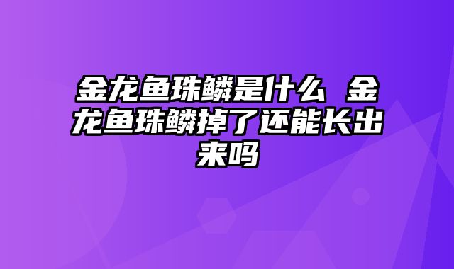 金龙鱼珠鳞是什么 金龙鱼珠鳞掉了还能长出来吗