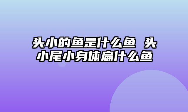 头小的鱼是什么鱼 头小尾小身体扁什么鱼
