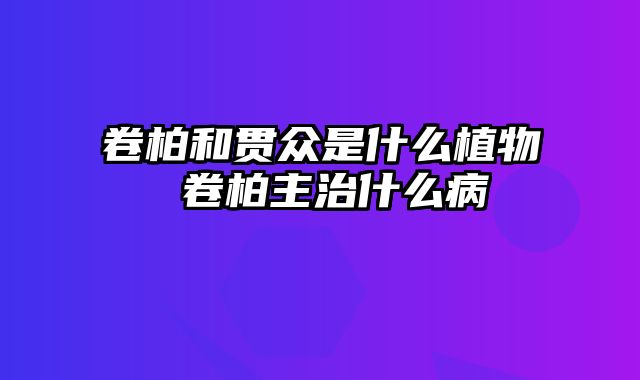 卷柏和贯众是什么植物 卷柏主治什么病