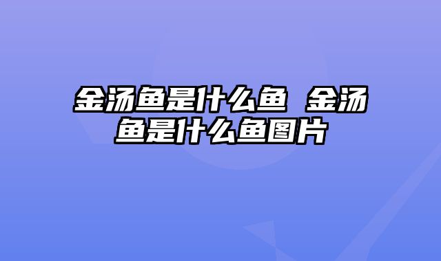 金汤鱼是什么鱼 金汤鱼是什么鱼图片
