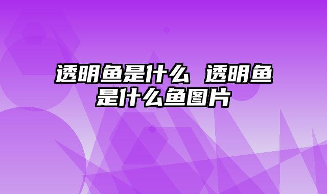 透明鱼是什么 透明鱼是什么鱼图片