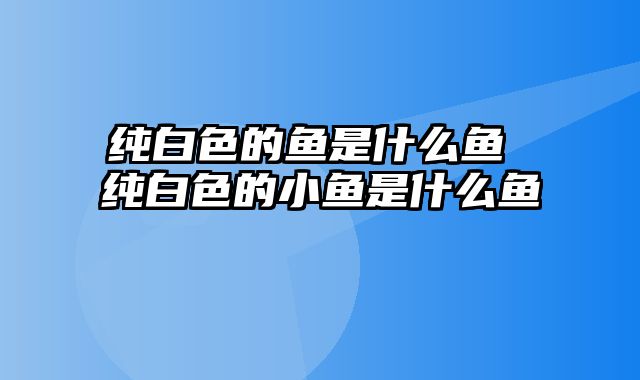 纯白色的鱼是什么鱼 纯白色的小鱼是什么鱼