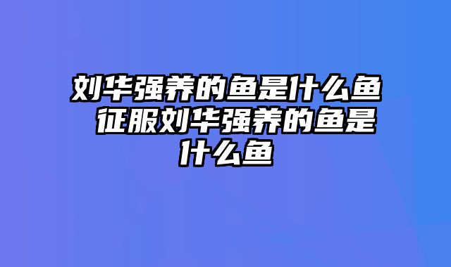 刘华强养的鱼是什么鱼 征服刘华强养的鱼是什么鱼