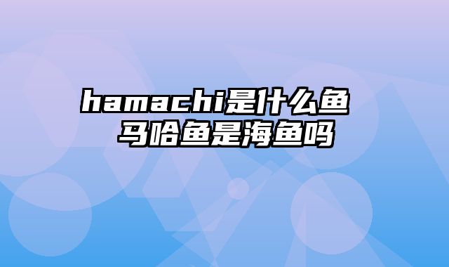 hamachi是什么鱼 马哈鱼是海鱼吗
