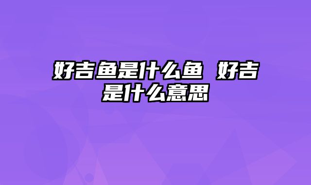 好吉鱼是什么鱼 好吉是什么意思