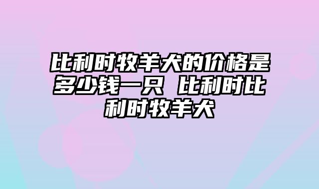 比利时牧羊犬的价格是多少钱一只 比利时比利时牧羊犬