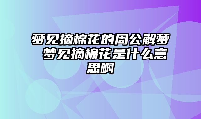 梦见摘棉花的周公解梦 梦见摘棉花是什么意思啊