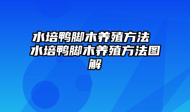 水培鸭脚木养殖方法 水培鸭脚木养殖方法图解