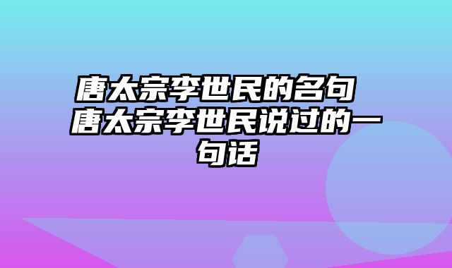 唐太宗李世民的名句 唐太宗李世民说过的一句话
