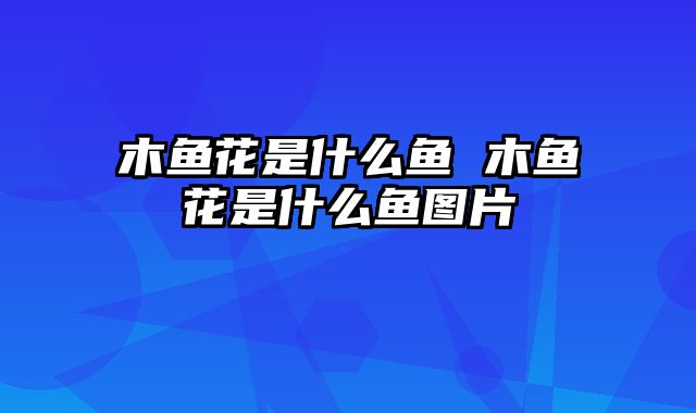 木鱼花是什么鱼 木鱼花是什么鱼图片