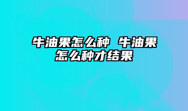 牛油果怎么种 牛油果怎么种才结果