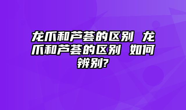 龙爪和芦荟的区别 龙爪和芦荟的区别 如何辨别?