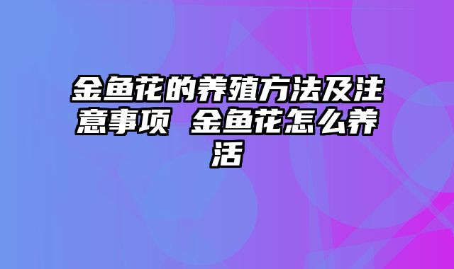 金鱼花的养殖方法及注意事项 金鱼花怎么养活