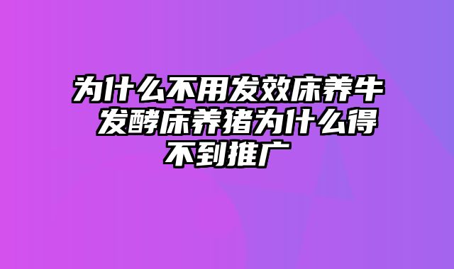 为什么不用发效床养牛 发酵床养猪为什么得不到推广