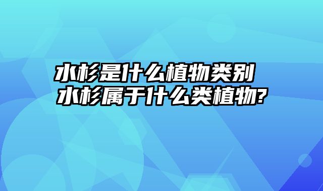 水杉是什么植物类别 水杉属于什么类植物?