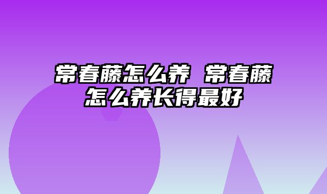常春藤怎么养 常春藤怎么养长得最好