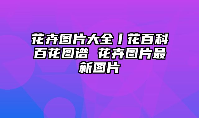 花卉图片大全丨花百科百花图谱 花卉图片最新图片