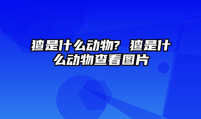 猹是什么动物? 猹是什么动物查看图片