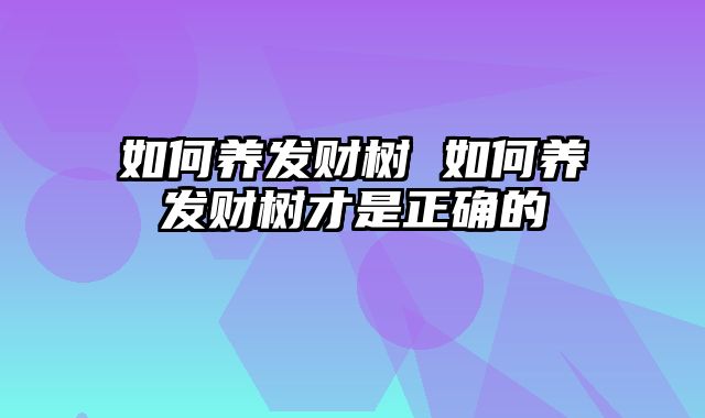 如何养发财树 如何养发财树才是正确的