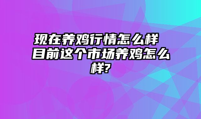 现在养鸡行情怎么样 目前这个市场养鸡怎么样?