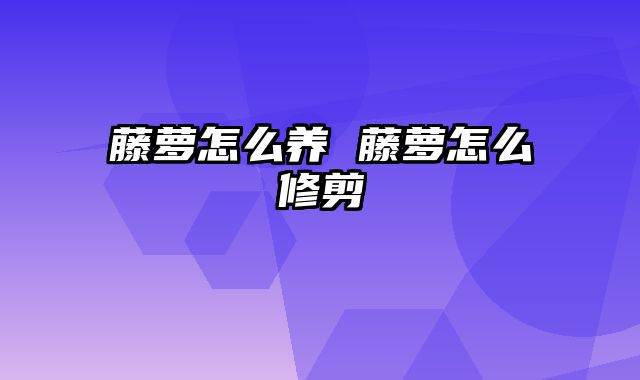 藤萝怎么养 藤萝怎么修剪