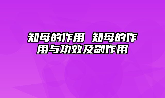 知母的作用 知母的作用与功效及副作用