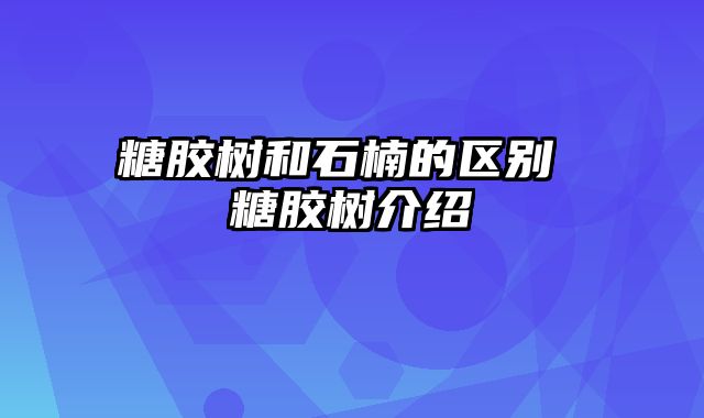 糖胶树和石楠的区别 糖胶树介绍