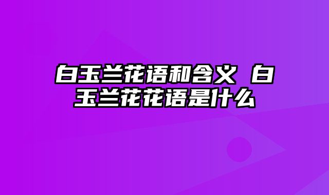 白玉兰花语和含义 白玉兰花花语是什么