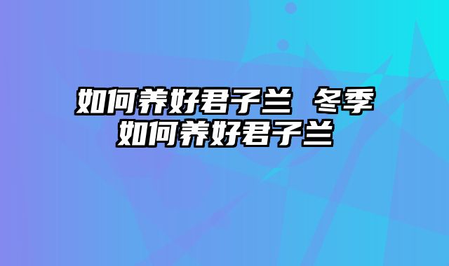 如何养好君子兰 冬季如何养好君子兰