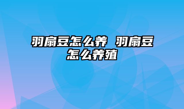 羽扇豆怎么养 羽扇豆怎么养殖