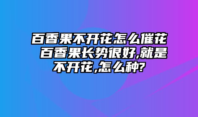百香果不开花怎么催花 百香果长势很好,就是不开花,怎么种?