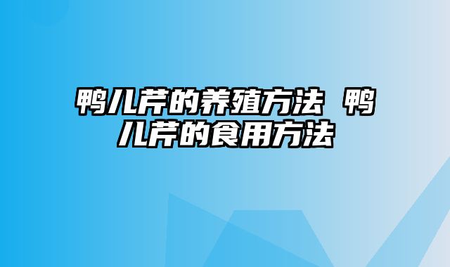 鸭儿芹的养殖方法 鸭儿芹的食用方法