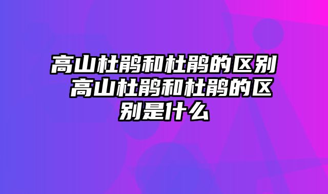 高山杜鹃和杜鹃的区别 高山杜鹃和杜鹃的区别是什么